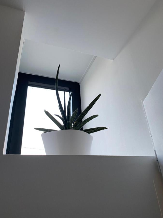 Studio Indre Climatise, La Halte De Cuze, Aux Abords De La Loire A Velo Huismes 외부 사진
