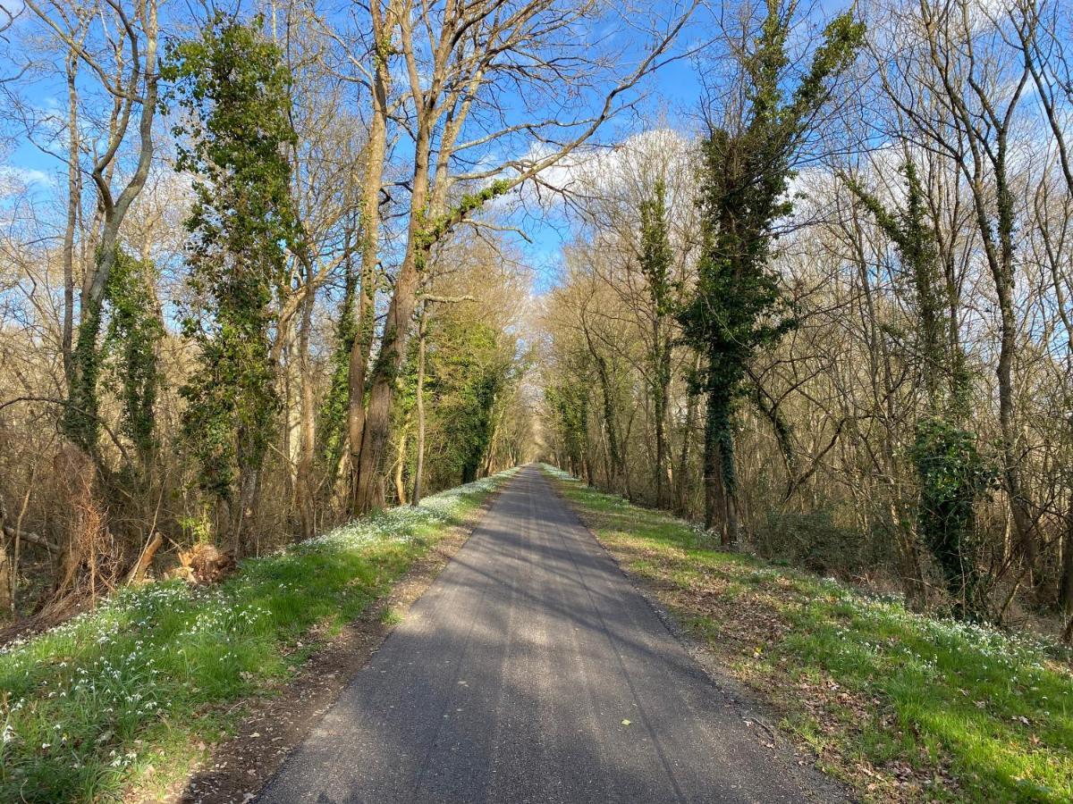 Studio Indre Climatise, La Halte De Cuze, Aux Abords De La Loire A Velo Huismes 외부 사진
